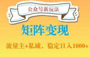 公众号软件玩法私域引流网盘拉新,多种变现,稳定日入1000【揭秘】|淘骐网赚资源库
