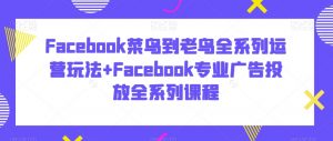 Facebook菜鸟到老鸟全系列运营玩法+Facebook专业广告投放全系列课程|淘骐网赚资源库