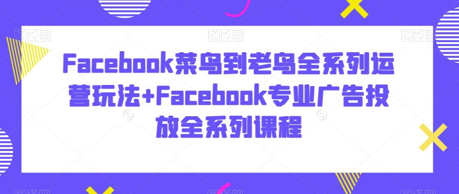 Facebook菜鸟到老鸟全系列运营玩法+Facebook专业广告投放全系列课程|淘骐网赚资源库