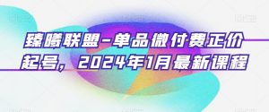 臻曦联盟-单品微付费正价起号，2024年1月最新课程|淘骐网赚资源库