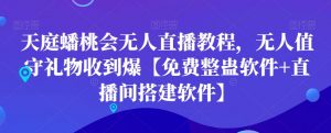 天庭蟠桃会无人直播教程，无人值守礼物收到爆【免费整蛊软件+直播间搭建软件】|淘骐网赚资源库