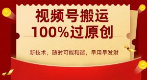 外边收费599创作者分成计划，视频号搬运100%过原创，新技术，适合零基础小白，月入两万+【揭秘】|淘骐网赚资源库