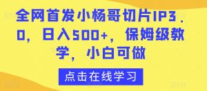 全网首发小杨哥切片IP3.0,日入500+,保姆级教学,小白可做【揭秘】|淘骐网赚资源库