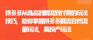 拼多多从选品到截流到付费的玩法技巧,助你掌握拼多多截流自然流量玩法,高投产玩法|淘骐网赚资源库