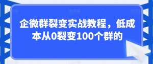 企微群裂变实战教程,低成本从0裂变100个群的|淘骐网赚资源库