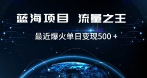 好评返现项目，稳定，小白速学月入过万【仅揭秘】|淘骐网赚资源库