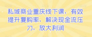 私域商业重庆线下课,有效提升复购率,解决现金流压力,放大利润|淘骐网赚资源库