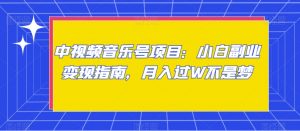 中视频音乐号项目:小白副业变现指南,月入过W不是梦【揭秘】|淘骐网赚资源库