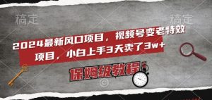 2024最新风口项目，视频号变老特效项目，电脑小白上手3天卖了3w+，保姆级教程【揭秘】|淘骐网赚资源库