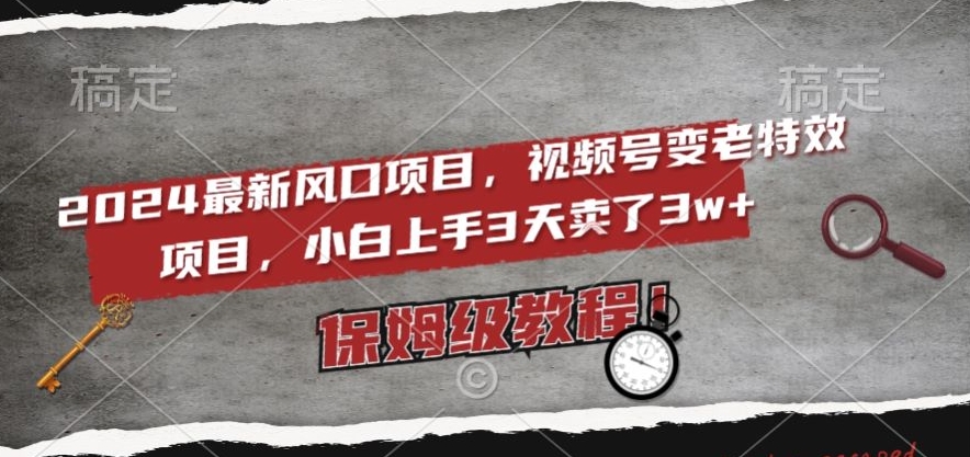 2024最新风口项目,视频号变老特效项目,电脑小白上手3天卖了3w+,保姆级教程【揭秘】|淘骐网赚资源库