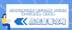 拼多多运营不理想？新手不会做？​15节系列课+2节直播课，直接掌握|淘骐网赚资源库