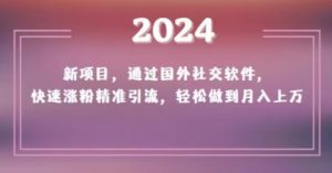 2024新项目,通过国外社交软件,快速涨粉精准引流,轻松做到月入上万【揭秘】|淘骐网赚资源库