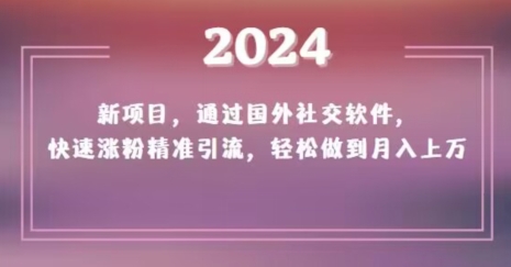 2024新项目,通过国外社交软件,快速涨粉精准引流,轻松做到月入上万【揭秘】|淘骐网赚资源库