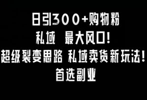 日引300+购物粉，超级裂变思路，私域卖货新玩法，小红书首选副业【揭秘】|淘骐网赚资源库