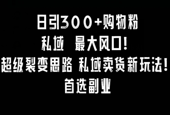 日引300+购物粉,超级裂变思路,私域卖货新玩法,小红书首选副业【揭秘】|淘骐网赚资源库