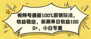 视频号最新100%原创玩法，收益稳定，亲测单日收益1000+，小白专属【揭秘】|淘骐网赚资源库
