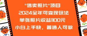 2024全年可变现玩法”售卖照片”单张照片收益1100元小白上手快，普通人可做【揭秘】|淘骐网赚资源库
