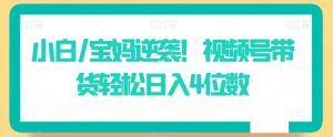 小白/宝妈逆袭!视频号带货轻松日入4位数【揭秘】|淘骐网赚资源库