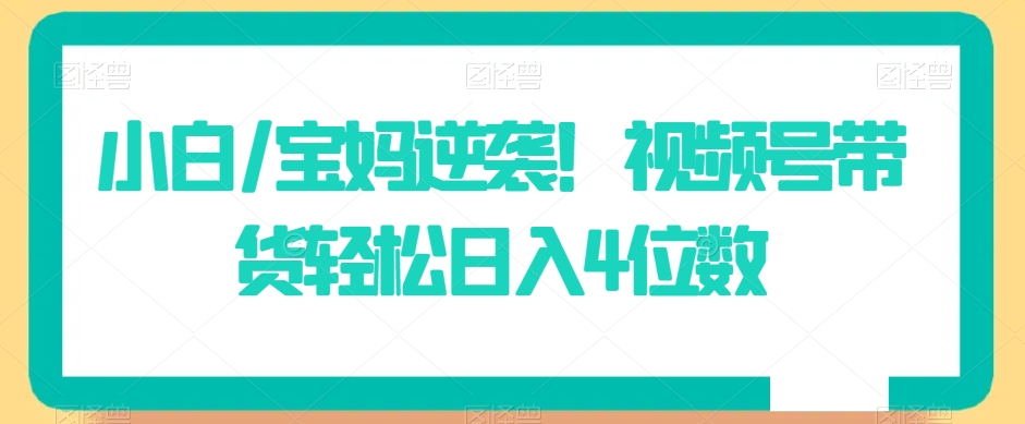 小白/宝妈逆袭!视频号带货轻松日入4位数【揭秘】|淘骐网赚资源库