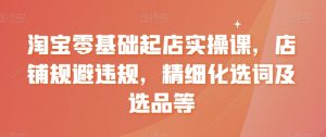 淘宝零基础起店实操课，店铺规避违规，精细化选词及选品等|淘骐网赚资源库