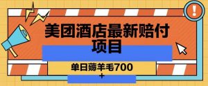 美团酒店最新赔付项目，单日薅羊毛700+【仅揭秘】|淘骐网赚资源库