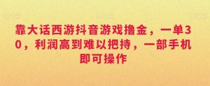 靠大话西游抖音游戏撸金,一单30,利润高到难以把持,一部手机即可操作,日入3000+【揭秘】|淘骐网赚资源库