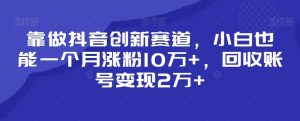 靠做抖音创新赛道，小白也能一个月涨粉10万+，回收账号变现2万+【揭秘】|淘骐网赚资源库