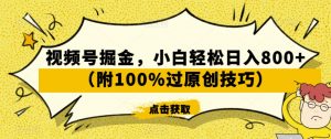 视频号掘金，小白轻松日入800+（附100%过原创技巧）【揭秘】|淘骐网赚资源库