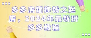 多多店铺挣钱之起店，2024年最新拼多多教程|淘骐网赚资源库