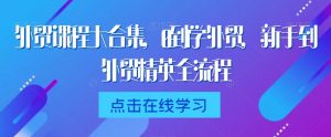 外贸课程大合集,0到1学外贸,新手到外贸精英全流程|淘骐网赚资源库