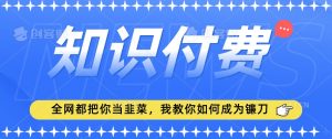 2024最新知识付费项目,小白也能轻松入局,全网都在教你做项目,我教你做镰刀【揭秘】|淘骐网赚资源库