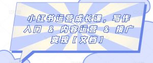 小红书运营成长课，写作入门&内容运营&接广变现【文档】|淘骐网赚资源库