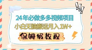 人人都能操作的蓝海多多视频带货项目，小白无脑搬运月入10000+【揭秘】|淘骐网赚资源库