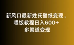 新风口最新姓氏壁纸变现，喂饭教程日入600+【揭秘】|淘骐网赚资源库