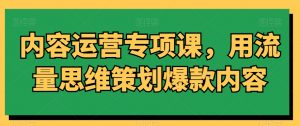 内容运营专项课,用流量思维策划爆款内容|淘骐网赚资源库