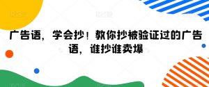 广告语,学会抄!教你抄被验证过的广告语,谁抄谁卖爆|淘骐网赚资源库