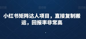 小红书矩阵达人项目,直接复制搬运,回报率非常高|淘骐网赚资源库