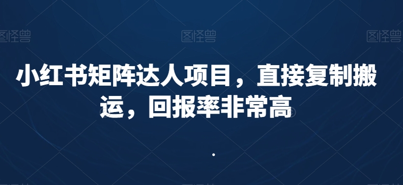 小红书矩阵达人项目,直接复制搬运,回报率非常高|淘骐网赚资源库