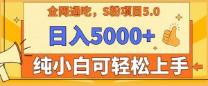 男粉项目5.0，最新野路子，纯小白可操作，有手就行，无脑照抄，纯保姆教学【揭秘】|淘骐网赚资源库