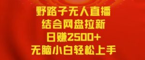 野路子无人直播结合网盘拉新,日赚2500+,小白无脑轻松上手【揭秘】|淘骐网赚资源库
