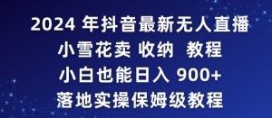 2024年抖音最新无人直播小雪花卖收纳教程，小白也能日入900+落地实操保姆级教程【揭秘】|淘骐网赚资源库