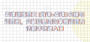 卖课训练营之【做课+卖课】实操与运营班,突破信息鸿沟掌握运营方法新手快速入门|淘骐网赚资源库