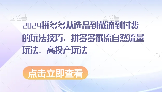 2024拼多多从选品到截流到付费的玩法技巧,拼多多截流自然流量玩法,高投产玩法|第一资源库