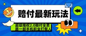 超级维权2.0全新玩法,2024赔付全思路职业打假一部手机搞定【仅揭秘】|淘骐网赚资源库
