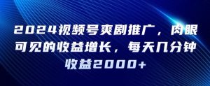 2024视频号爽剧推广，肉眼可见的收益增长，每天几分钟收益2000+【揭秘】|淘骐网赚资源库