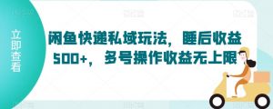 闲鱼快递私域玩法，睡后收益500+，多号操作收益无上限【揭秘】|淘骐网赚资源库