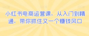 小红书电商运营课,从入门到精通,带你抓住又一个赚钱风口|淘骐网赚资源库