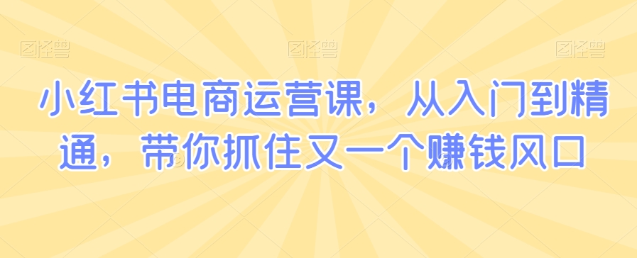 小红书电商运营课,从入门到精通,带你抓住又一个赚钱风口|淘骐网赚资源库