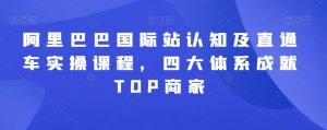 阿里巴巴国际站认知及直通车实操课程，四大体系成就TOP商家|淘骐网赚资源库