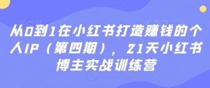 从0到1在小红书打造赚钱的个人IP(第四期),21天小红书博主实战训练营|淘骐网赚资源库
